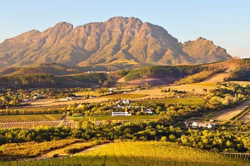 stellenbosch restaurants - lanzerac wine estate