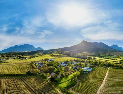 Gateway to the Scenic Beauty and Rich History of Jonkershoek Valley