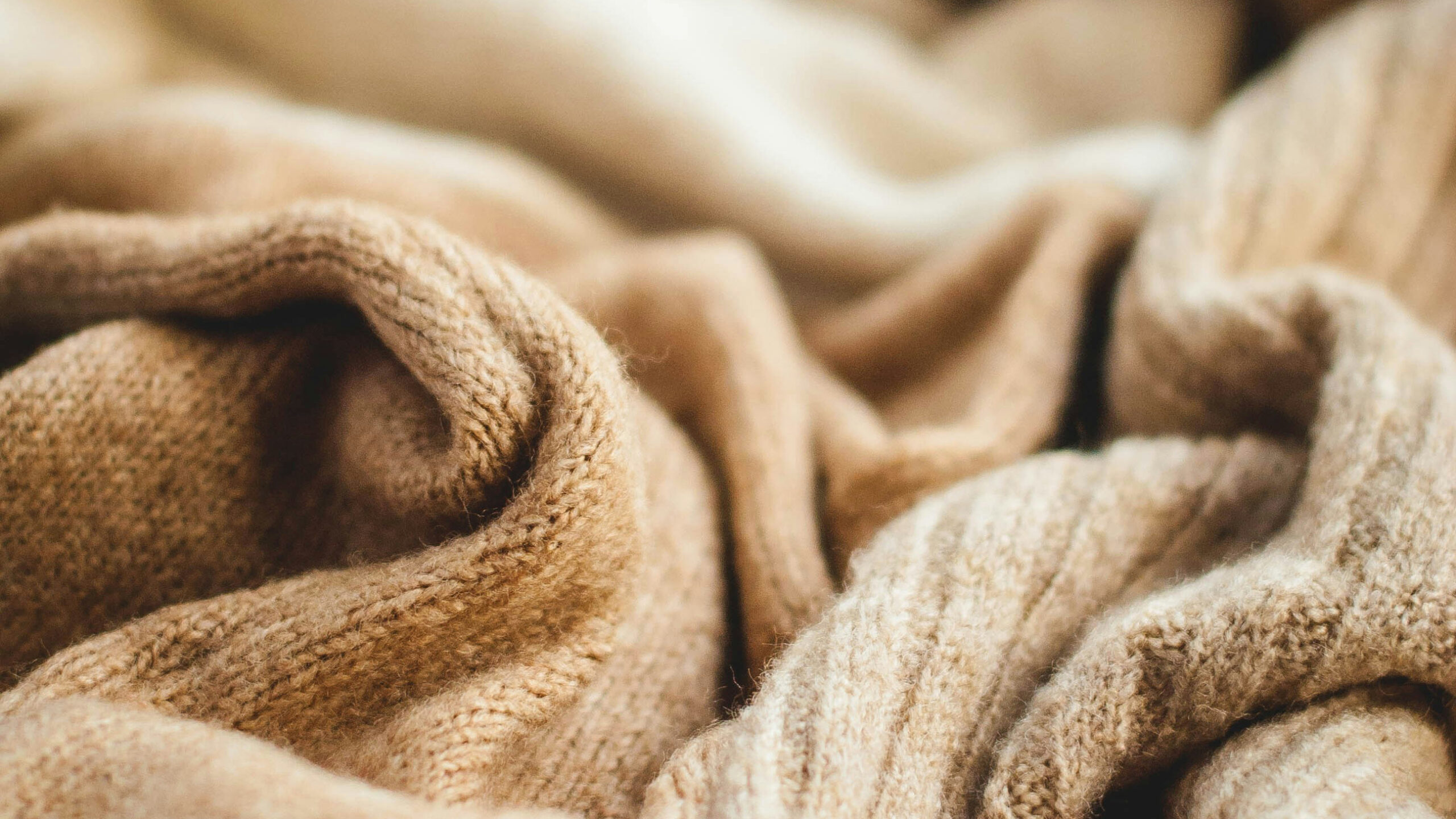 KFM-TLC_Hero_BlogPost