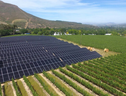 Powered by the Sun, Rooted in the Land