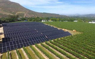 Large ground-mounted solar panel array installed next to a vineyard with a scenic mountain background.
