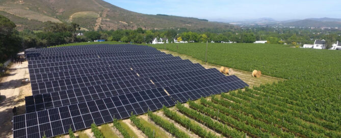 Large ground-mounted solar panel array installed next to a vineyard with a scenic mountain background.